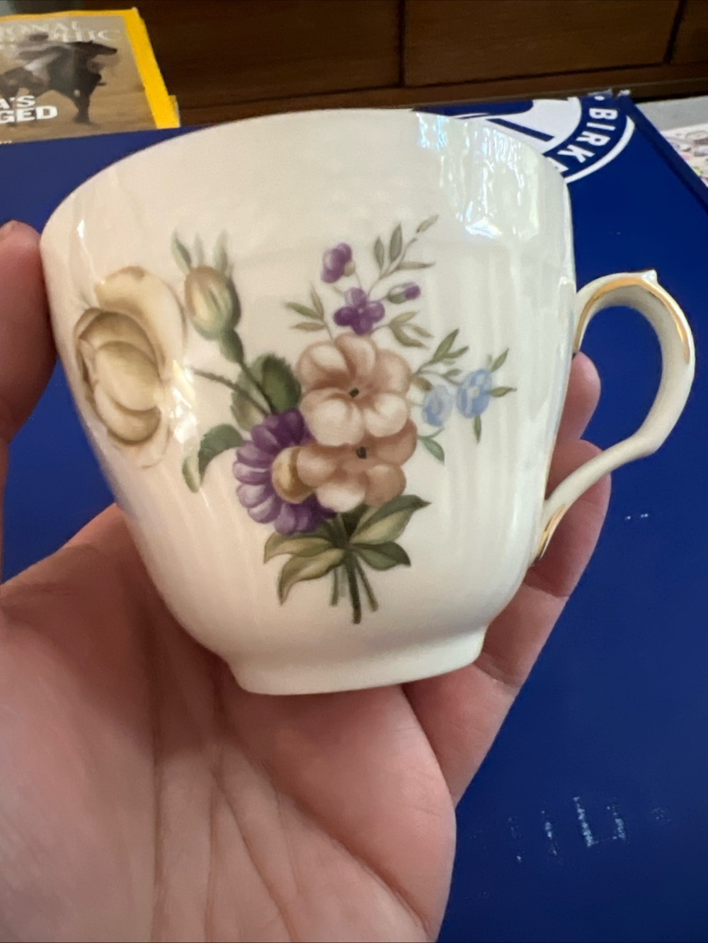 Vintage Royal Copenhagen Frijsenborg  Floral 910 Footed Flat Tea Cup MCM